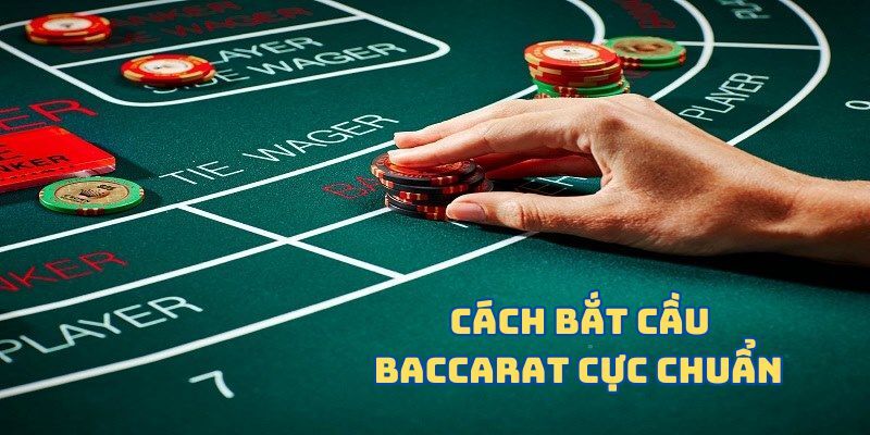 Cách soi cầu Baccarat siêu chuẩn cho mọi tân binh 2024