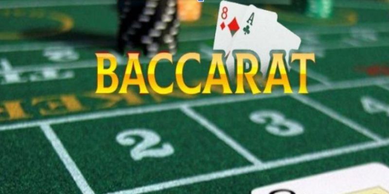 Cẩm nang chơi bài từ top cao thủ baccarat nổi tiếng