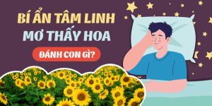 ảnh đại diện mơ thấy hoa